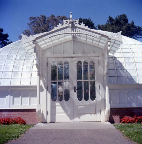 Kodak Portra 160 NC - Golden Gate Park - Botanical Garden